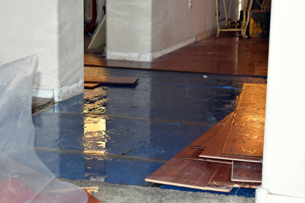 Professional Flood Damage Restoration technician working in Somerville, MA